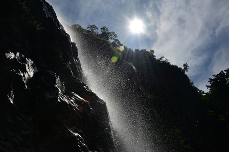 c0303868_7163868.jpg