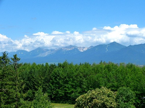 d0084473_2303939.jpg