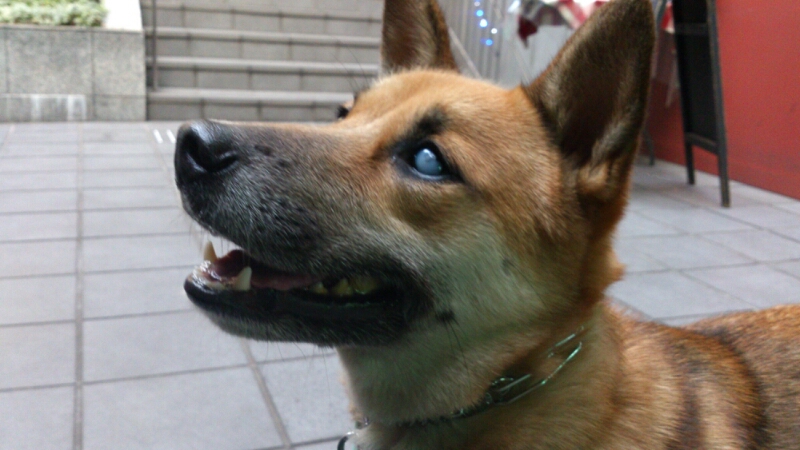 b0246876_21594986.jpg