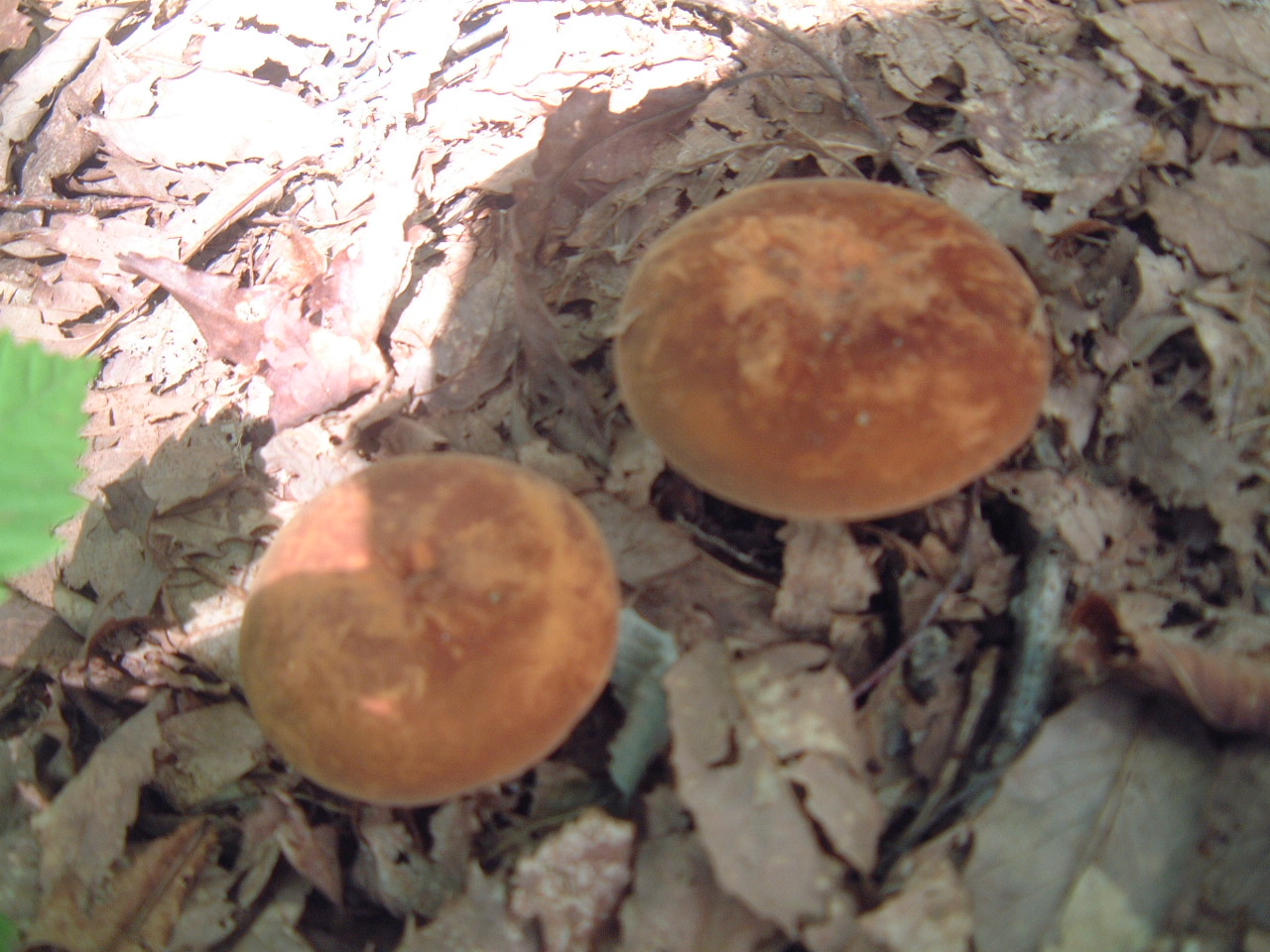 c0237780_14535663.jpg