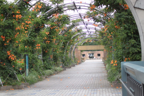 b0143686_23431376.jpg