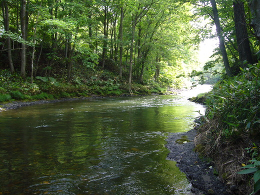 a0118989_23502744.jpg