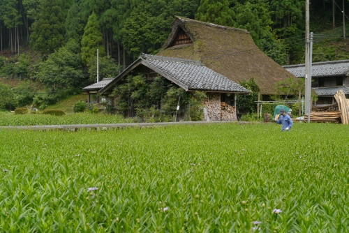 b0226089_2012029.jpg