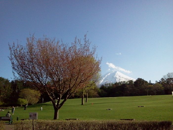 f0298891_1428565.jpg