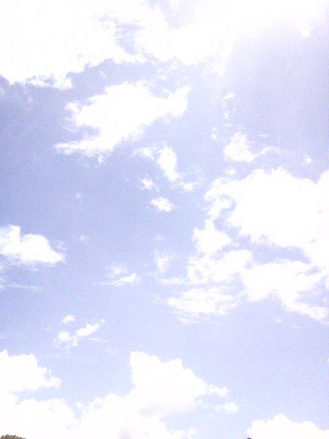 f0298891_158314.jpg