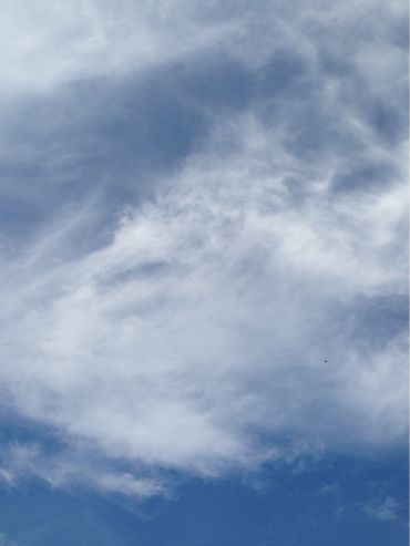 f0298891_174004.jpg