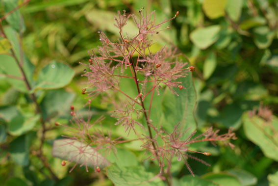 f0222692_843232.jpg