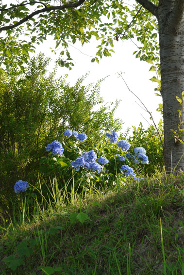 f0222692_8472190.jpg