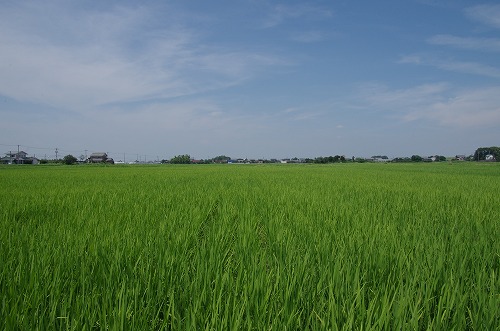b0119493_228550.jpg