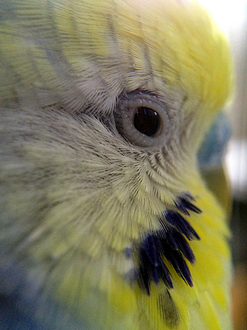 d0131293_20573492.jpg