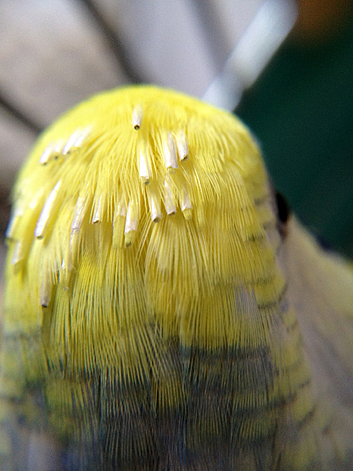 d0131293_2057439.jpg
