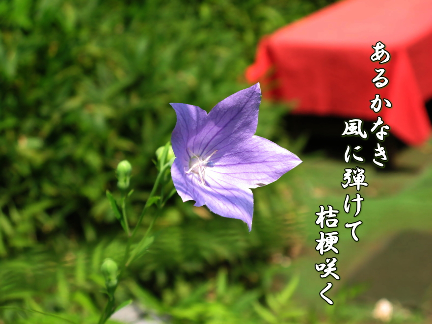 f0137096_1042233.jpg