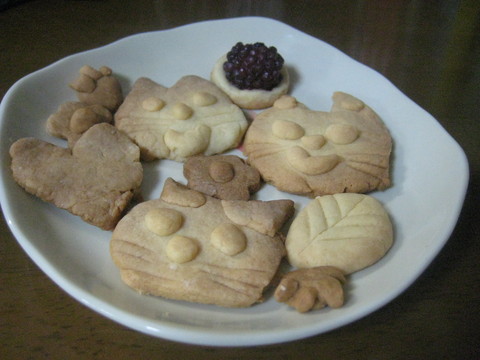 f0201297_2315241.jpg