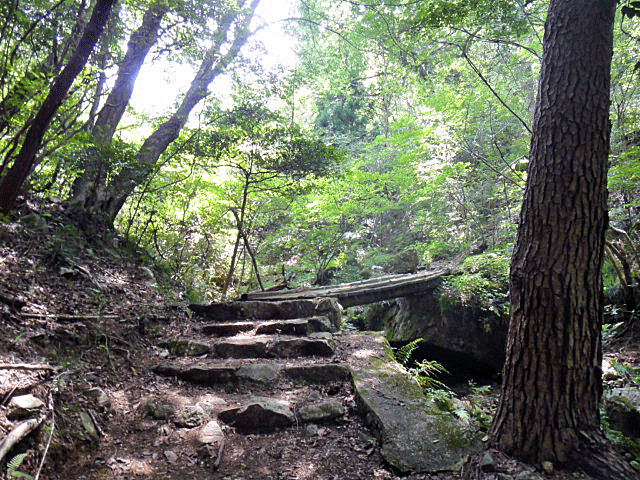 b0108100_22373639.gif