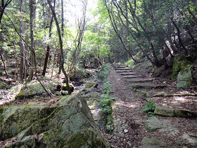 b0108100_22394943.gif