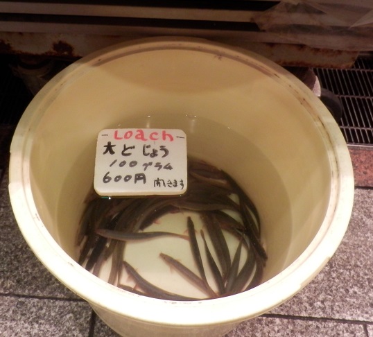 c0098501_2075015.jpg