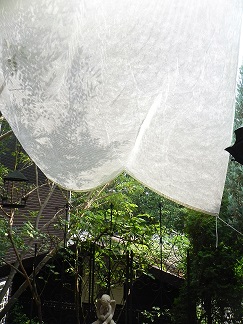 c0152002_18173537.jpg