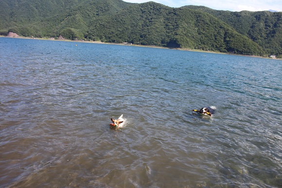 f0034602_1947579.jpg