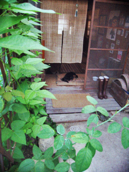 d0077603_1082829.jpg