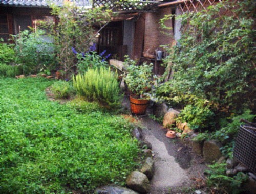 d0077603_1085399.jpg