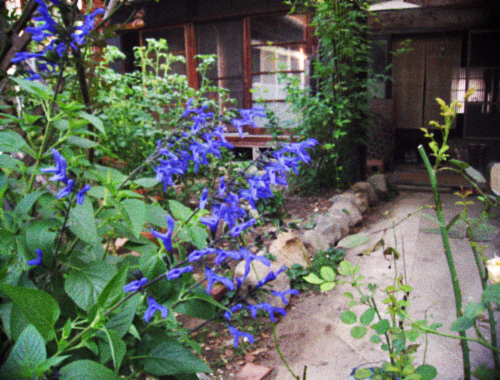 d0077603_1092045.jpg