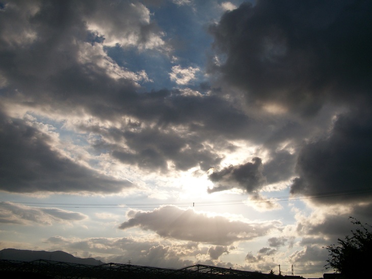 d0168003_12283940.jpg