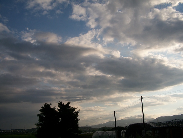 d0168003_12302718.jpg