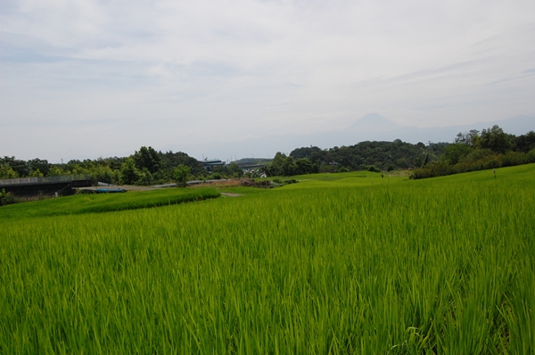 d0133704_14222328.jpg