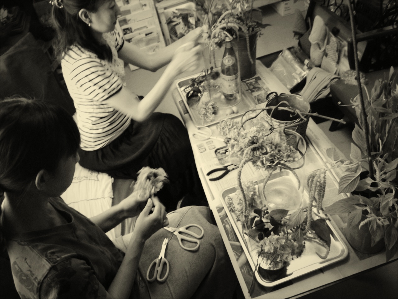 d0165505_22214465.jpg