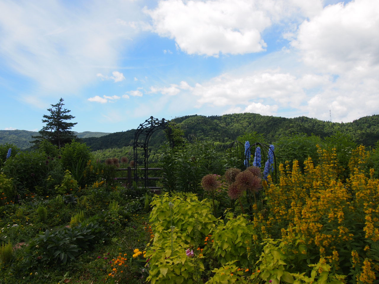 d0169613_18122897.jpg
