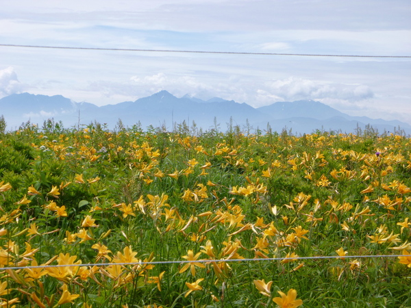 d0170615_1711560.jpg