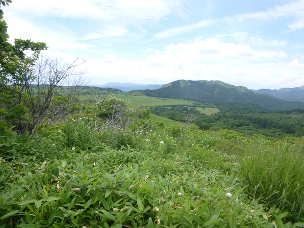 d0170615_17131233.jpg
