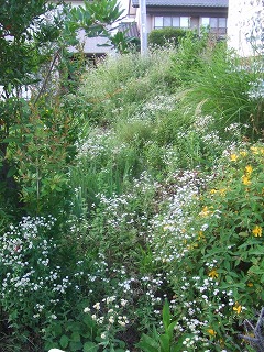 e0092118_18453451.jpg