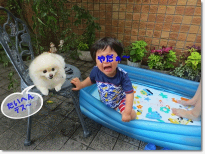 b0167519_22123690.gif