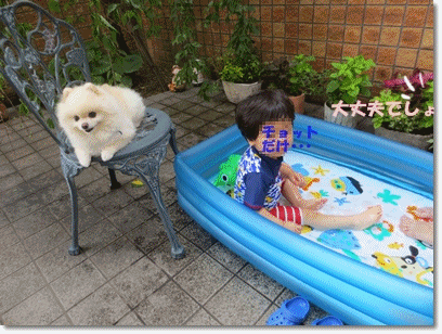 b0167519_22185952.gif