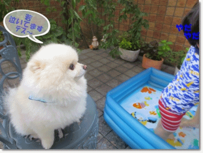b0167519_2233471.gif