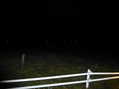 c0227720_1816459.jpg