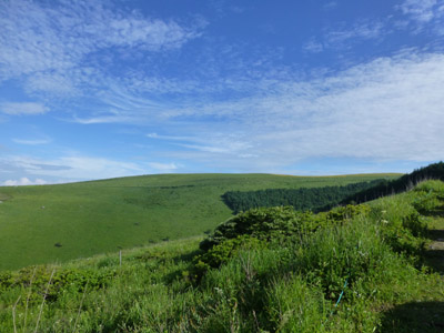 c0227720_18232854.jpg