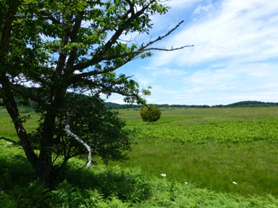 c0227720_18485184.jpg
