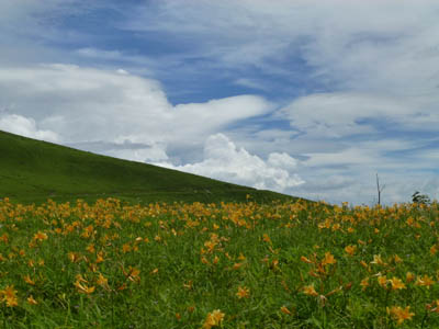 c0227720_18561856.jpg