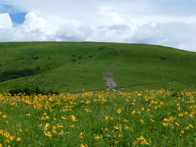 c0227720_18562314.jpg