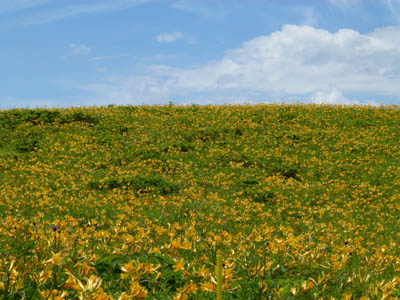 c0227720_18564013.jpg
