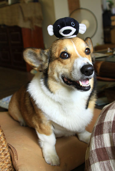 e0071225_20101239.jpg