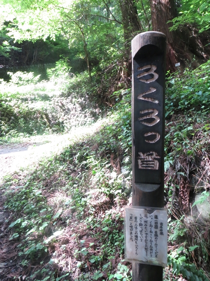 f0040525_1956525.jpg