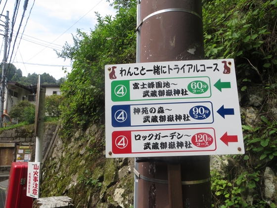 f0040525_20153228.jpg