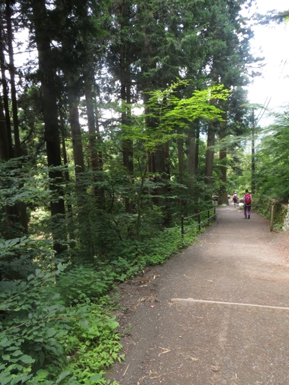 f0040525_20161844.jpg
