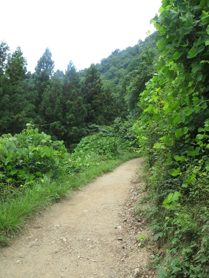 f0040525_20163595.jpg