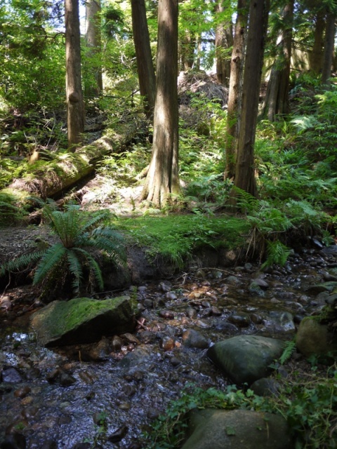 b0221428_450696.jpg