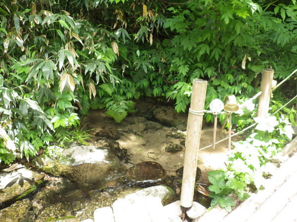 f0118332_16533131.jpg