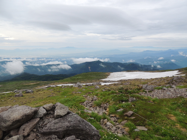 f0118332_2325723.jpg